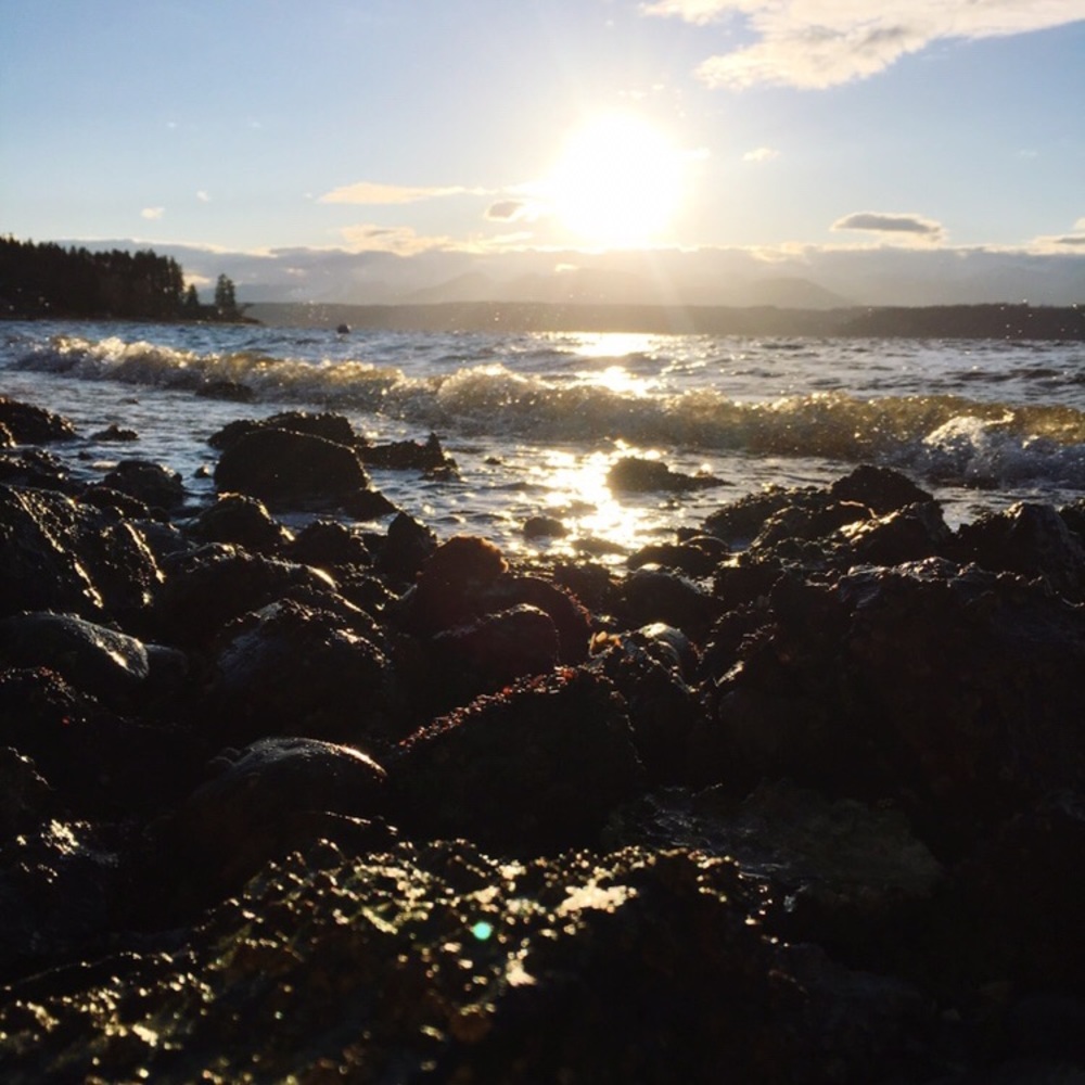 Meet your Posher, Shaylee